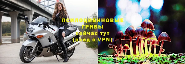 ешки Белокуриха